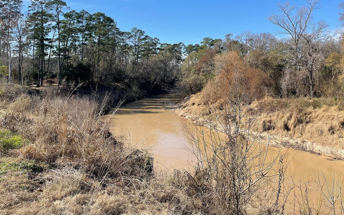 Cypress Creek winding through woodland in northwest Harris County
