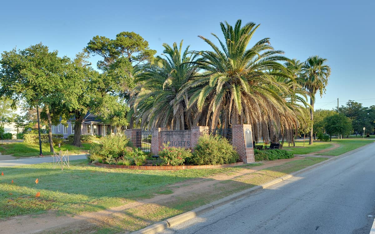 Palm trees along the Heights Boulevard esplanade in Houston Heights
